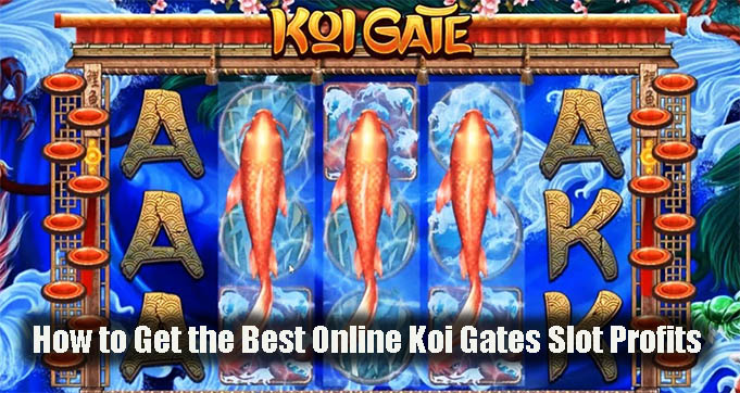 How to Get the Best Online Koi Gates Slot Profits